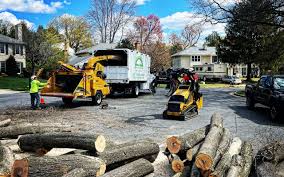 University Heights, IA Tree Services Company